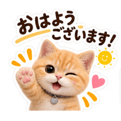 hanamomo_20260810132608