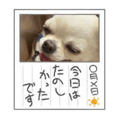 puipui_20260810121400