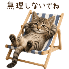 【夏】 キジトラ 子猫