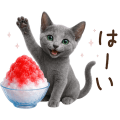 【夏】 ロシアンブルー 子猫