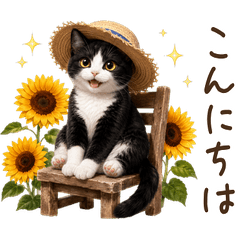 【夏】 はちわれ 猫
