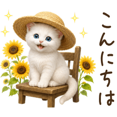 【夏】 白猫 子猫