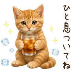 【夏】 茶トラ 子猫