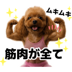 Tina_20260810095052
