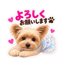 MAHINA_20260810134126