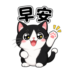 A Tuxedo Cat Happy Life