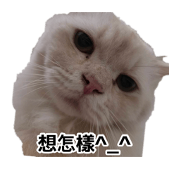 Felix Wu_20260810122343
