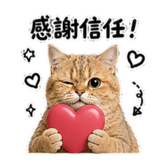 Jao_20260810130806