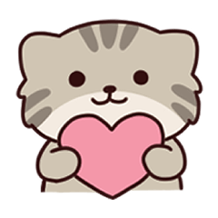 Pallas the cat