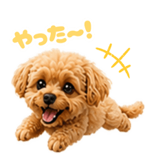 shiho_20260810182756