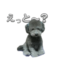 MOE_20260810150612