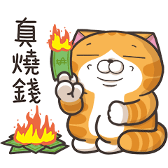 白爛貓☆好敢動☆