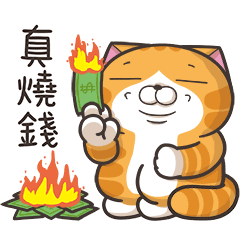 白爛貓☆好敢動☆