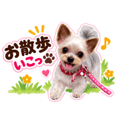 tomoko_20260810185816