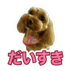 mie_20260810191609