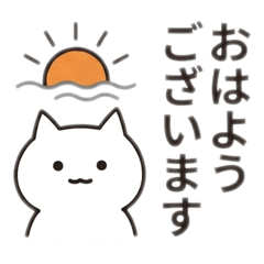 koko_20260809120839