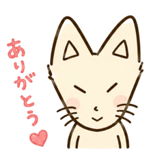 tomoko_20260809224756