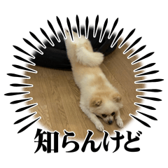 yuyu_20260810145014