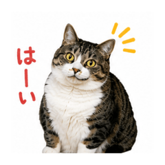 ruirui_20260810160534