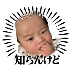 s_20260810161641