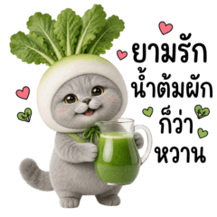 Veggie Kitty : White Radish