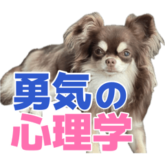 ramusu_20260810223323