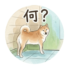 TAKUMI_20260811004300