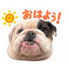 TAMA_20260811005529