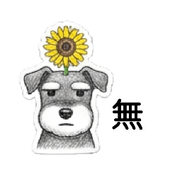 mi_20260810184120