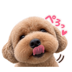 YU_20260811080138