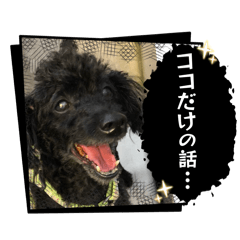 neco_20260811033018