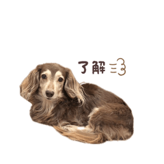 ayumi_20260811034928