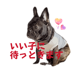 Haichu_20260810200853