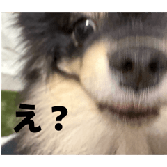 yu_20260810224919