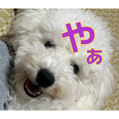 maimai_20260810224509