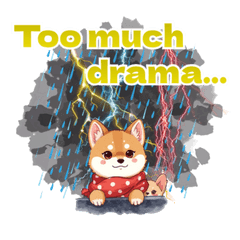 Cute Shiba: Love & Drama Reality Show