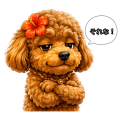 REINA_20260810074638
