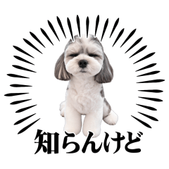 marumoco_20260810083102