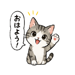 K.T_20260810083732