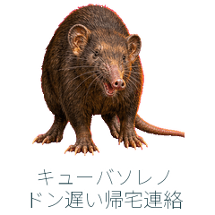 Cuban Solenodon Late Return