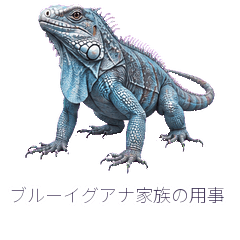 Blue Iguana Family Errand