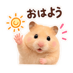 maru_20260810100037