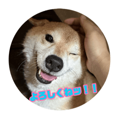 Good job, Momo-chan!
