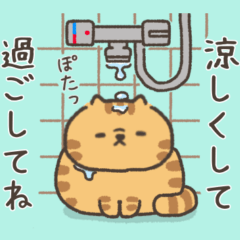 Melting cat.Summer.Red tabby.