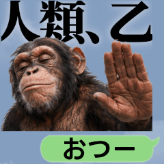 Apes Provoking Humanity  Gorillas