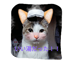 daifukudayo