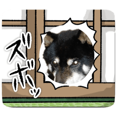 maru_20260