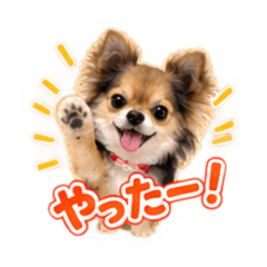 Chiwamaru_20260810233146