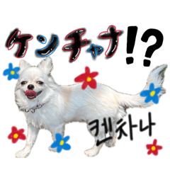 osakisa_20260809111042