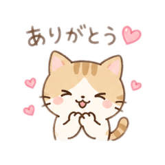 cute_cat 2026